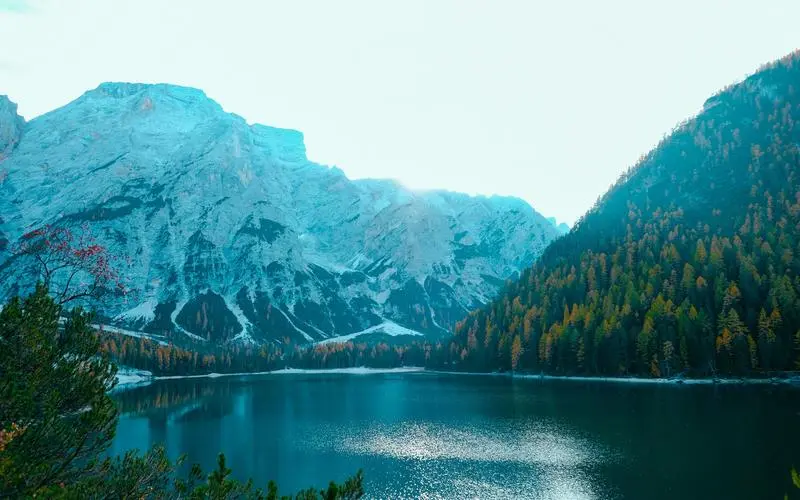 网络化信息化智能系统